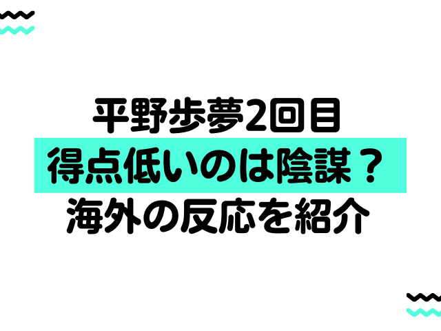 平野歩夢2回目点数低いのは陰謀 海外の反応を紹介 ナナカマドおすすめ情報雑記 Blog